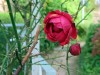 Hb 2013_Reutlingen 4